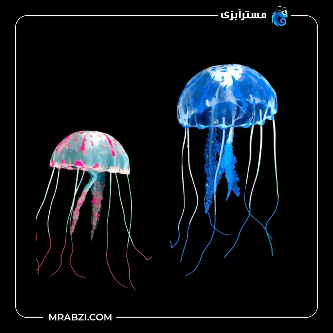 عروس دریایی بزرگ — تصویر ۲