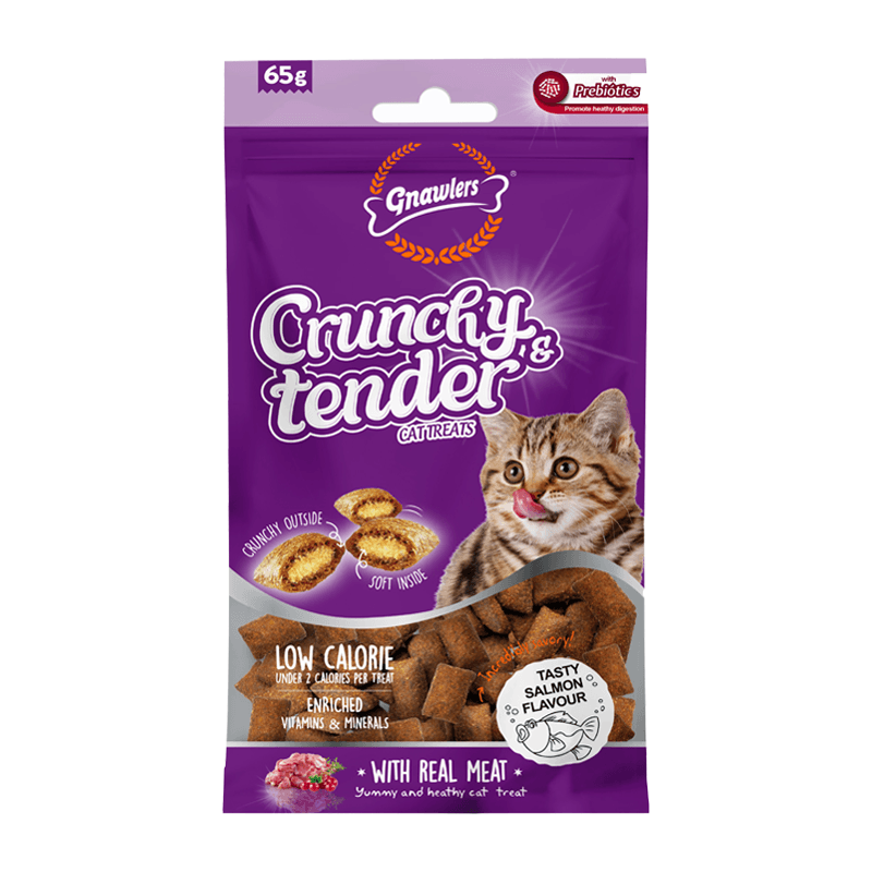 تشویقی مغزدار گربه گناولرز Gnawlers با طعم سالمون