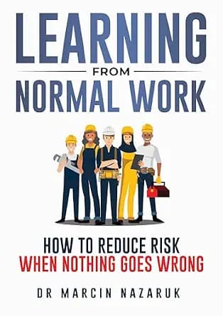 و دانلود نسخه کامل کتاب زبان اصلی Learning From Normal Work: How to Reduce Risk When Nothing Goes Wrong PDF | دانلود کتاب خارجی