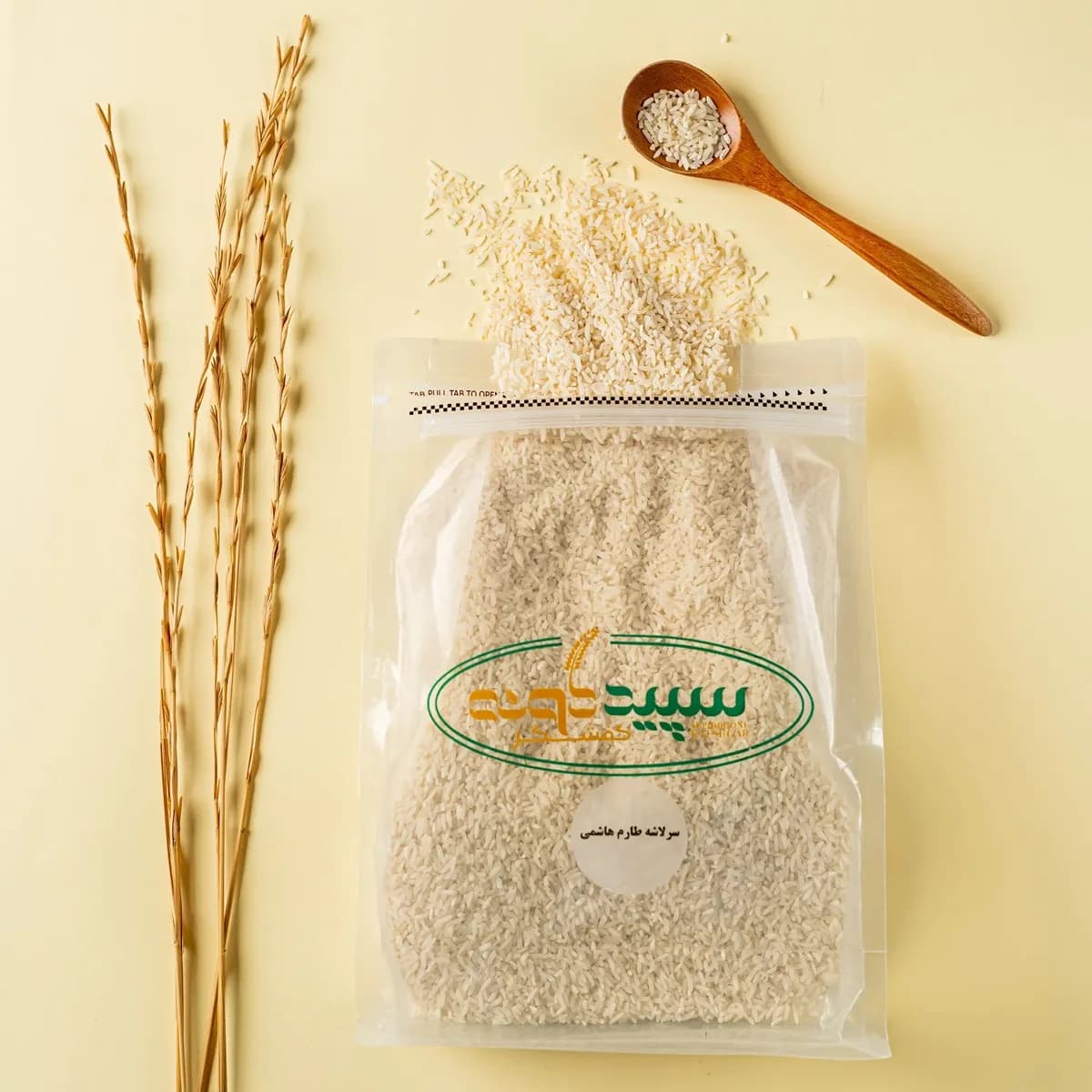 سرلاشه طارم هاشمی اصل شمال — تصویر ۲