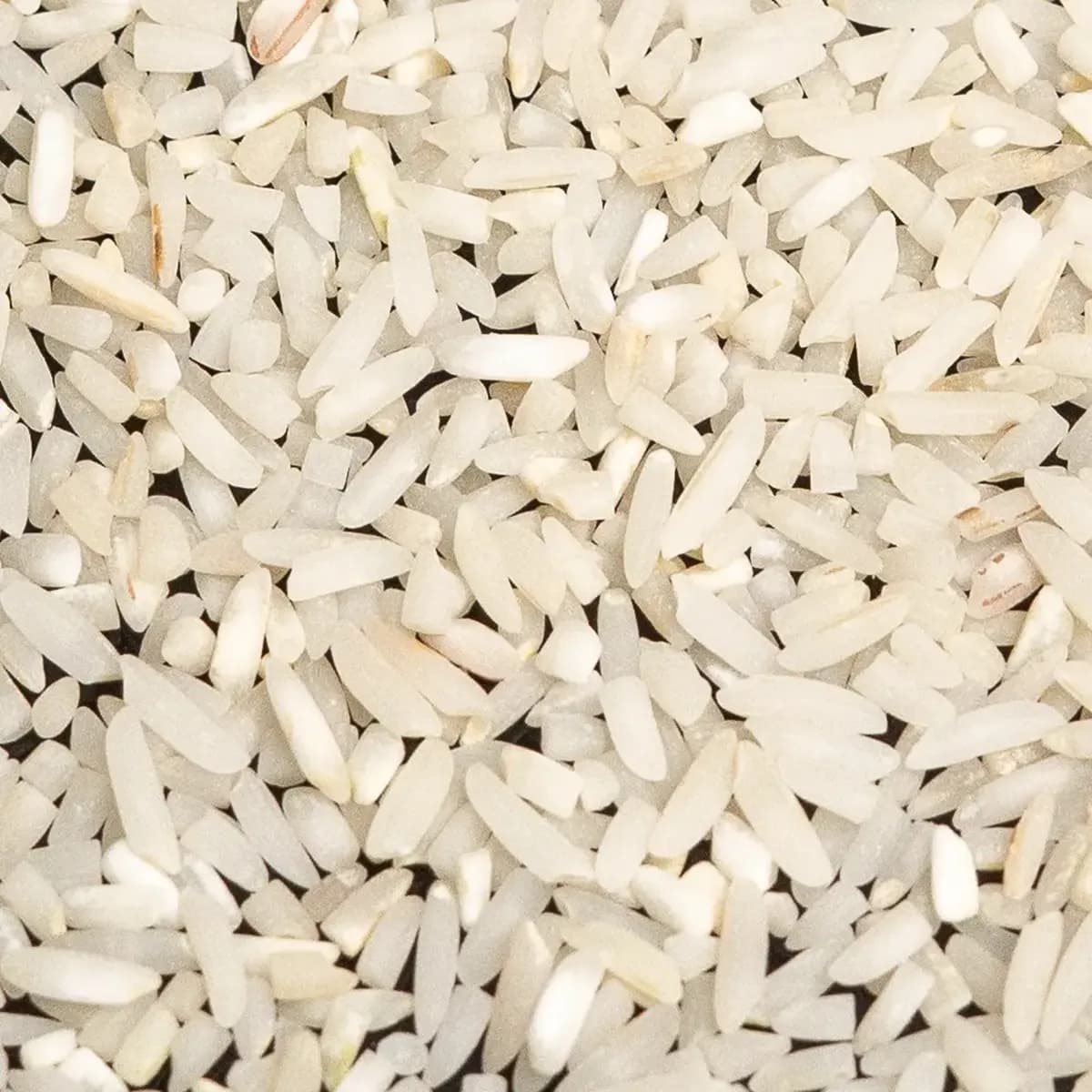 سرلاشه طارم هاشمی اصل شمال — تصویر ۳