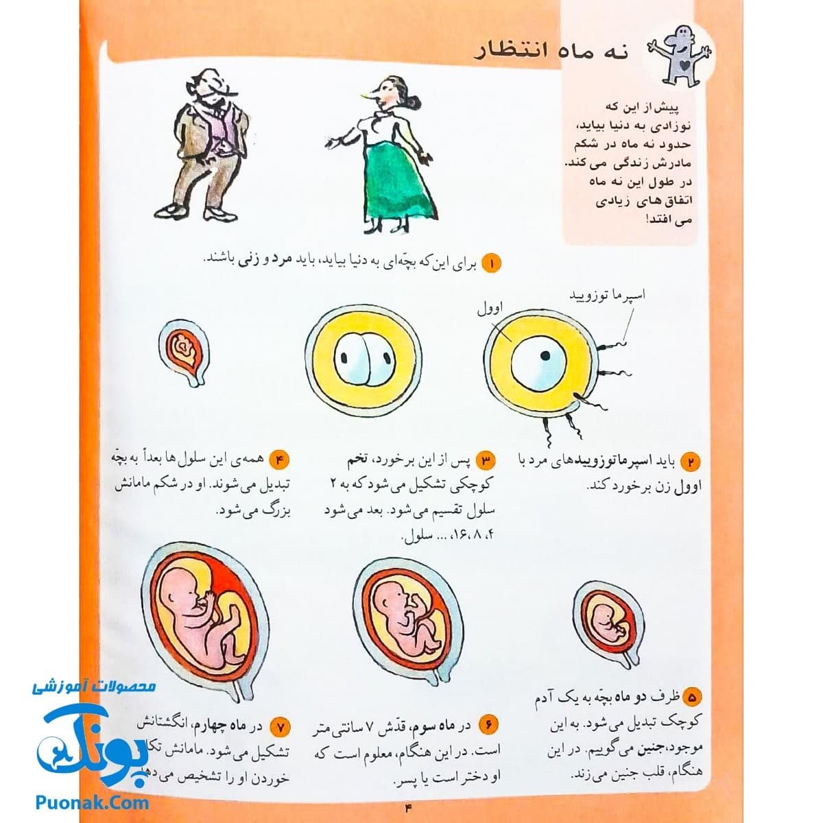 کتاب دایره المعارف کودکان از مجموعه کتاب های مرجع — تصویر ۳