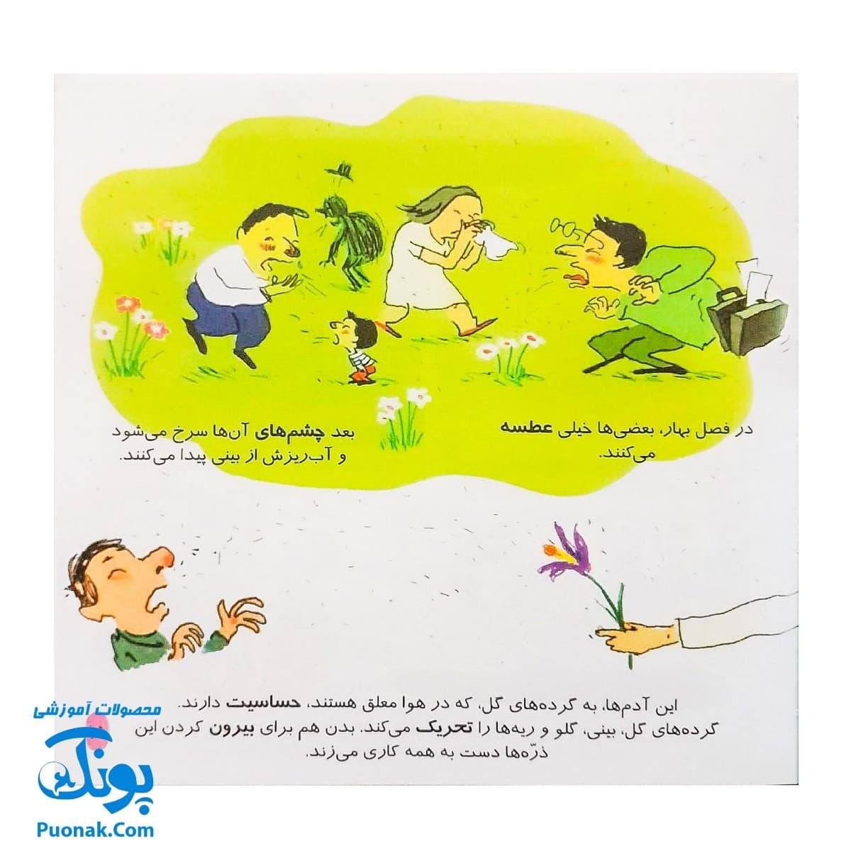 کتاب دایره المعارف کوچک من درباره دردها و بیماری ها — تصویر ۵