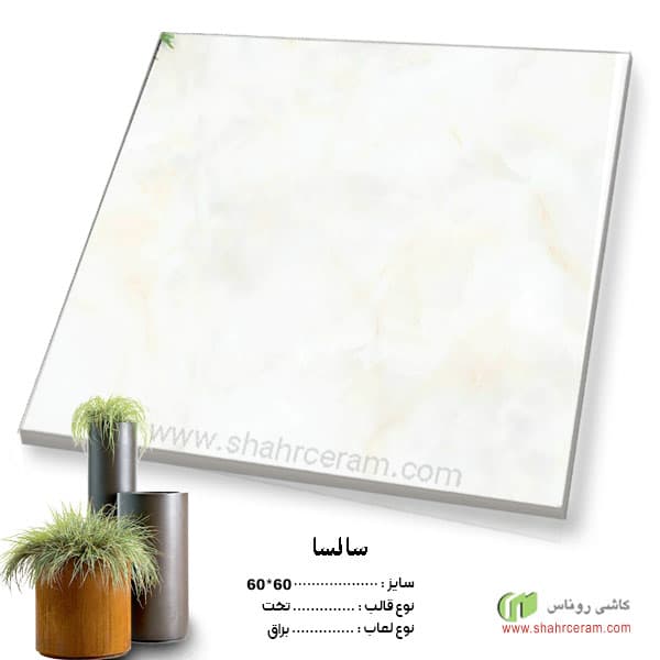 سرامیک پرسلان سالسا 60*60 کاشی روناس