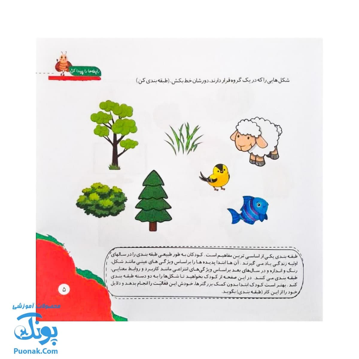 کتاب مهارت محور کفشدوزک ۳۶ (رابطه ها را پیدا کن) — تصویر ۳
