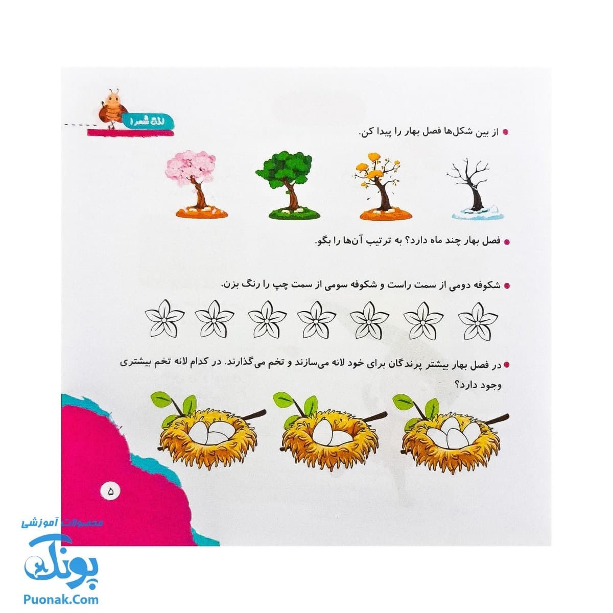 کتاب مهارت محور کفشدوزک ۱۹ (لذت شعر ۱) — تصویر ۳