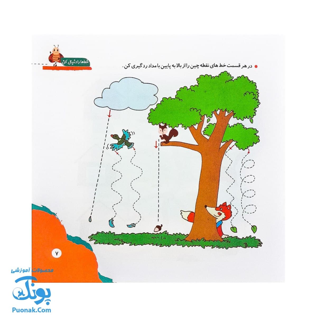 کتاب مهارت محور کفشدوزک ۲۹ (خط ها را دنبال کن) — تصویر ۵