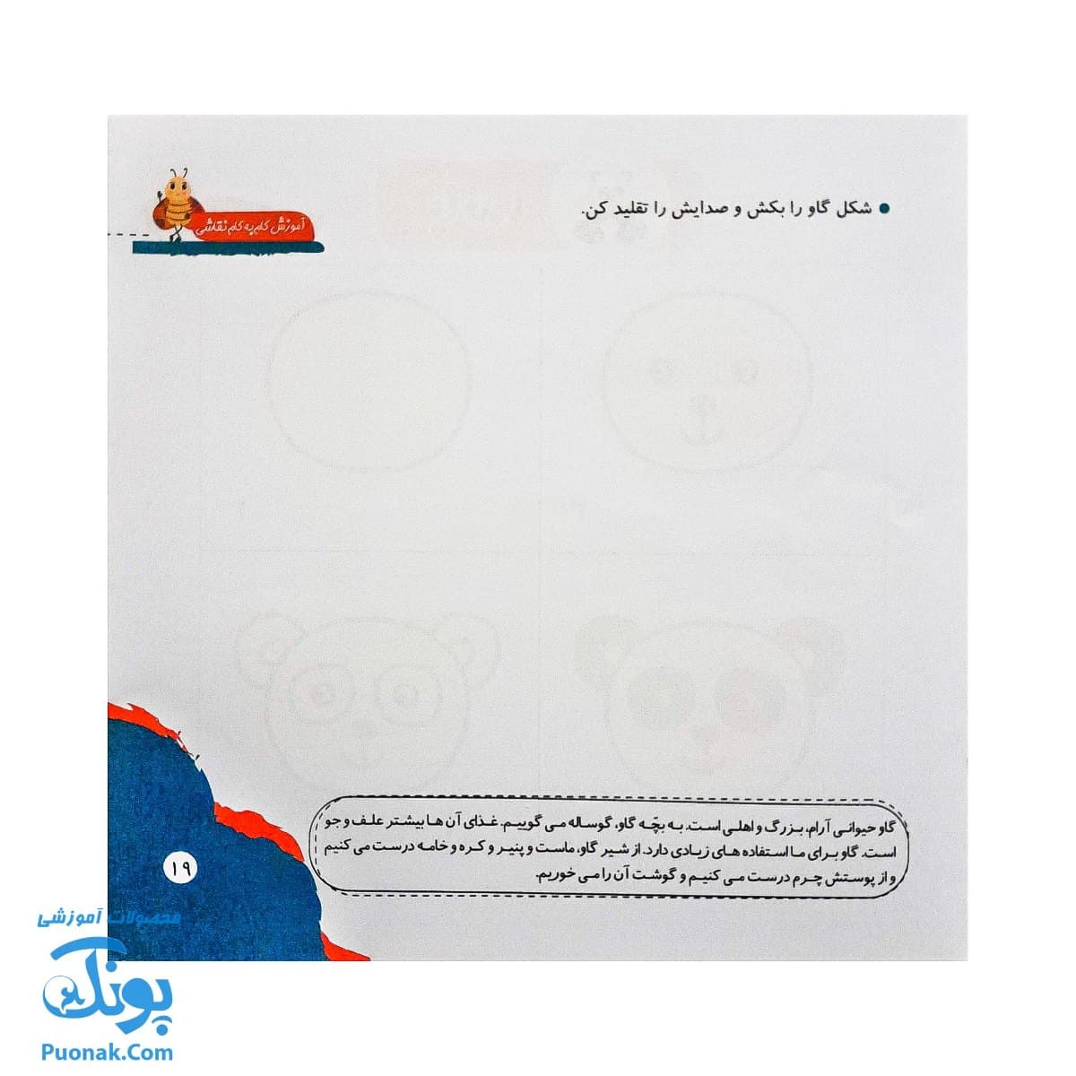 کتاب مهارت محور کفشدوزک ۲۷ (آموزش گام به گام نقاشی) — تصویر ۷