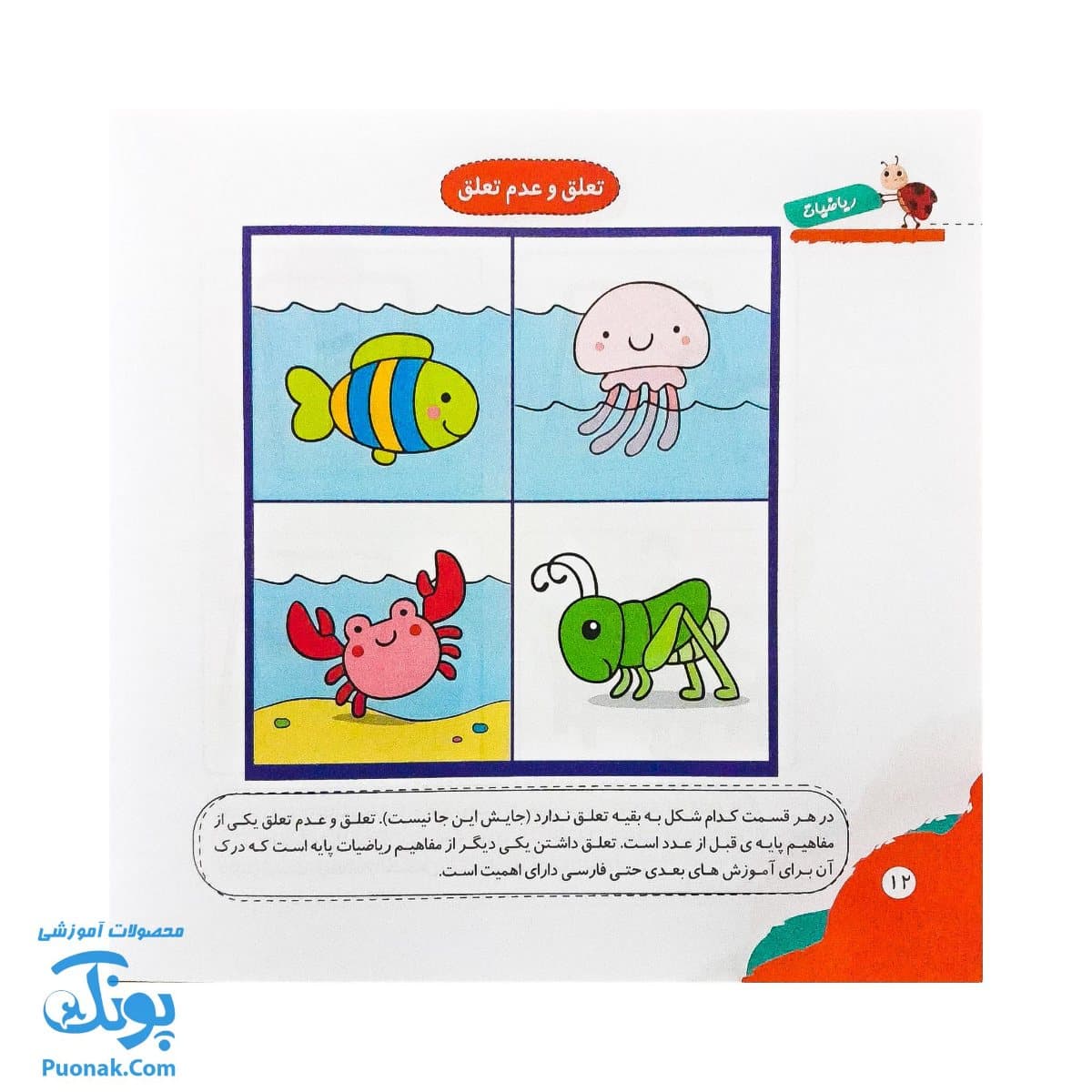 کتاب مهارت محور کفشدوزک ۲۵ (ریاضیات) — تصویر ۶
