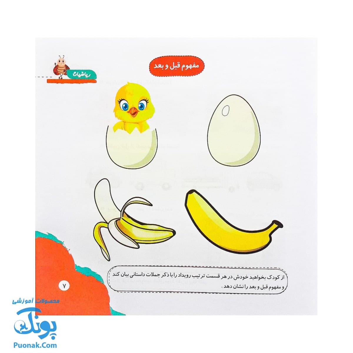 کتاب مهارت محور کفشدوزک ۲۵ (ریاضیات) — تصویر ۴