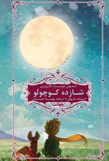 کتاب شازده کوچولو ( شازده کوچولو ) — تصویر ۸