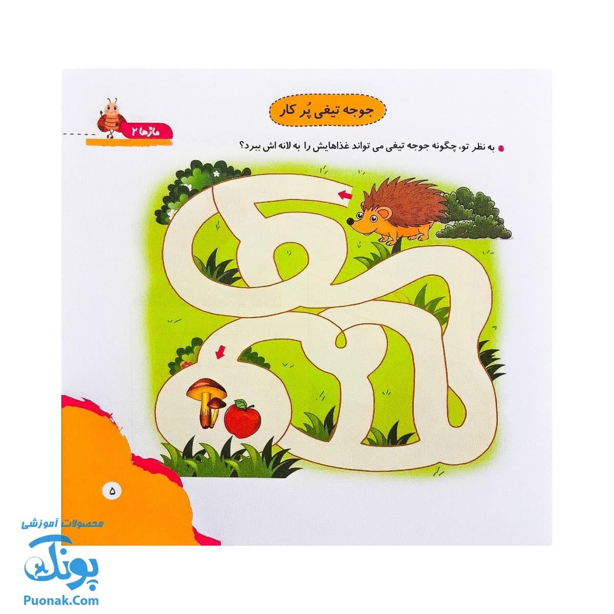 کتاب مهارت محور کفشدوزک ۱۶ (مازها ۲) — تصویر ۳