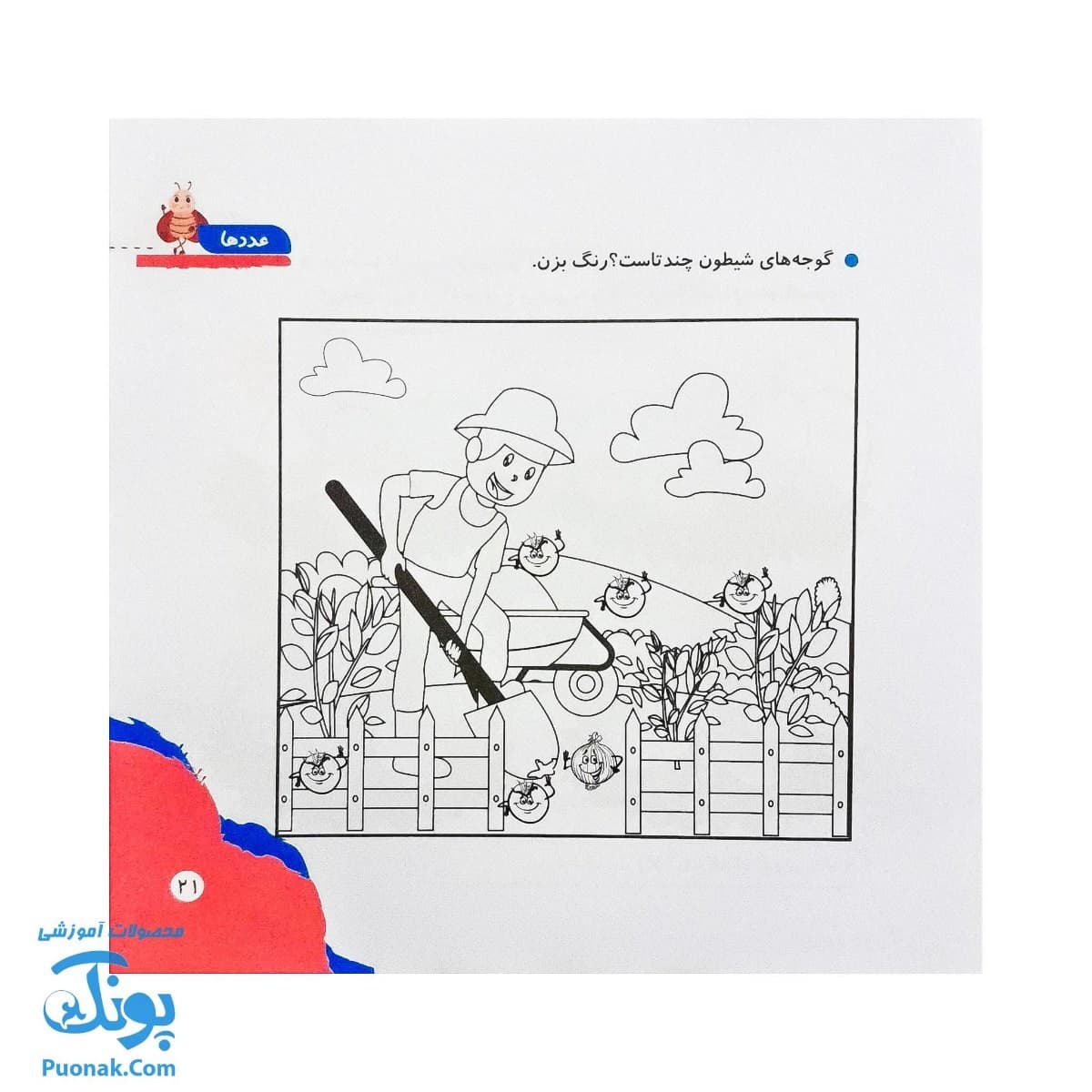 کتاب مهارت محور کفشدوزک ۸ (عدد ها) — تصویر ۶