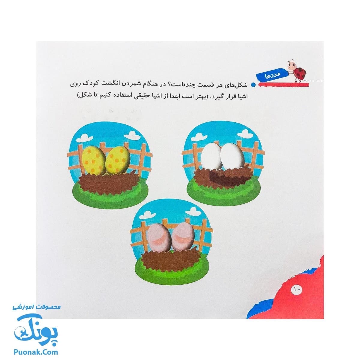 کتاب مهارت محور کفشدوزک ۸ (عدد ها) — تصویر ۵