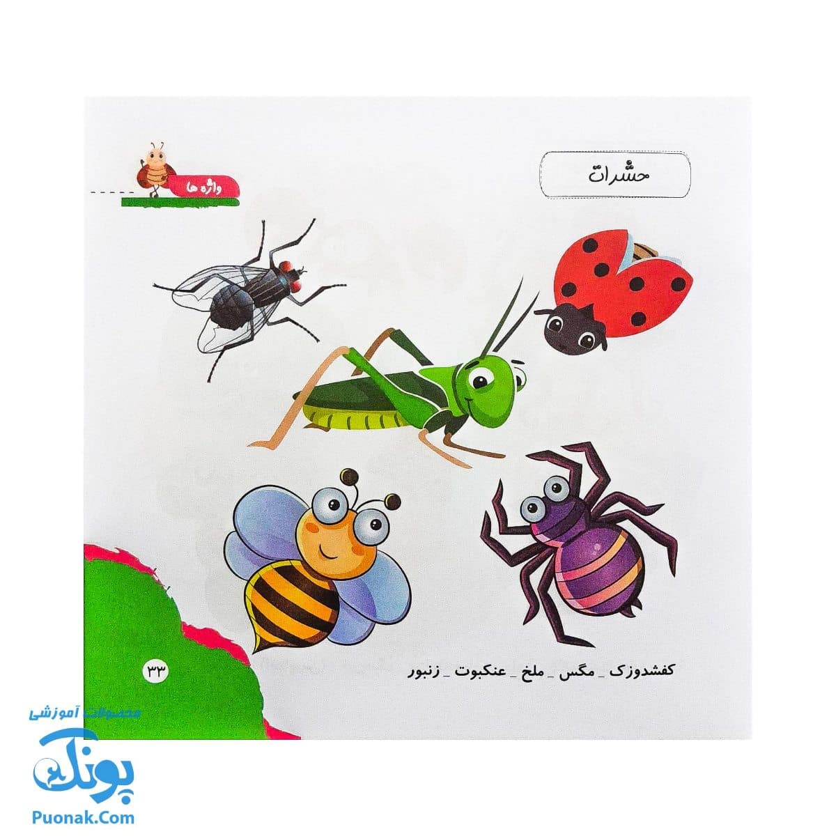 کتاب مهارت محور کفشدوزک ۱ (واژه ها) — تصویر ۷