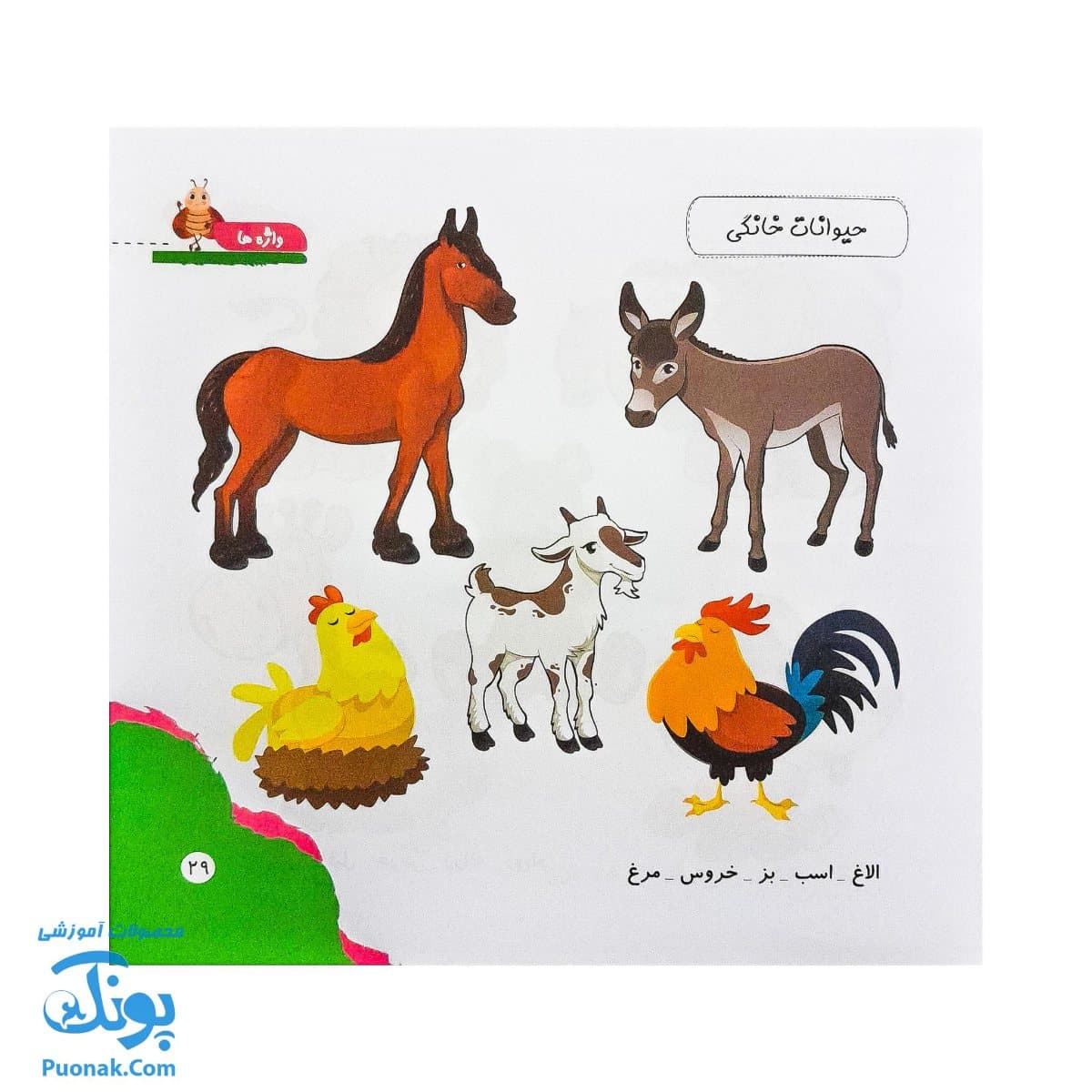 کتاب مهارت محور کفشدوزک ۱ (واژه ها) — تصویر ۸