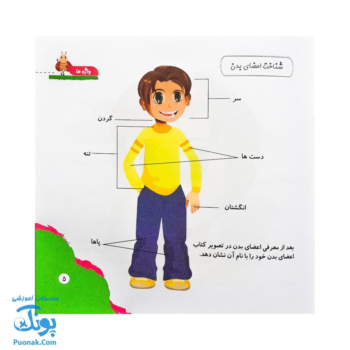 کتاب مهارت محور کفشدوزک ۱ (واژه ها) — تصویر ۳