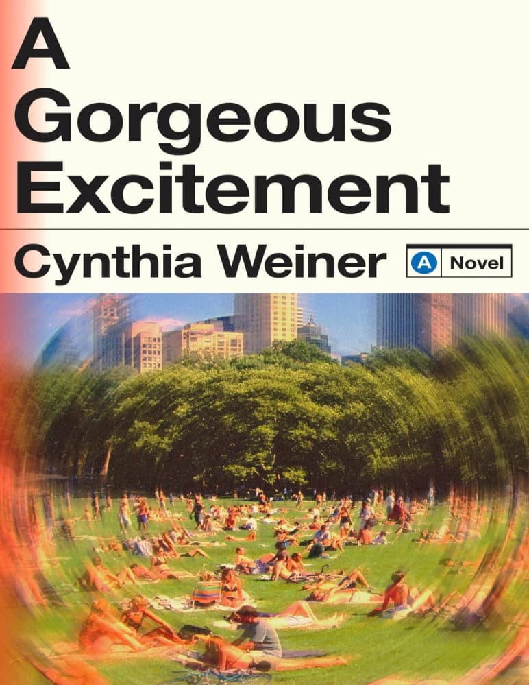 کتاب A Gorgeous Excitement (هیجانی باشکوه) نسخه انگلیسی PDF | سینتیا واینر — تصویر ۲