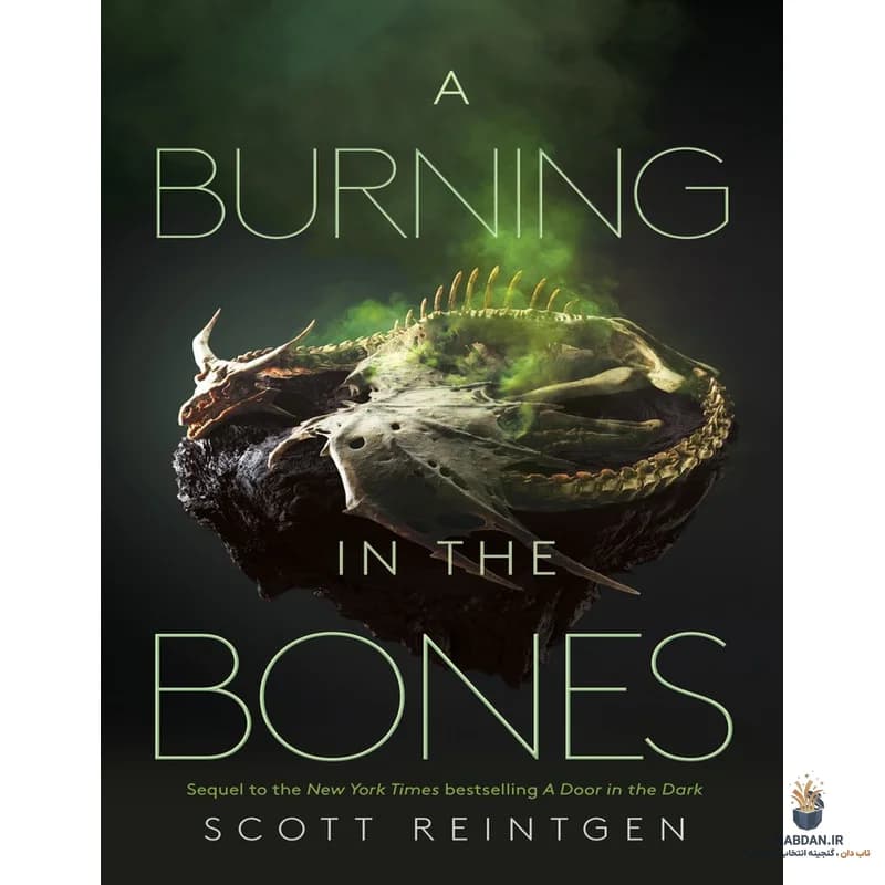 کتاب A Burning in the Bones (آتشی در استخوان‌ها) نسخه انگلیسی PDF | اسکات رینتگن