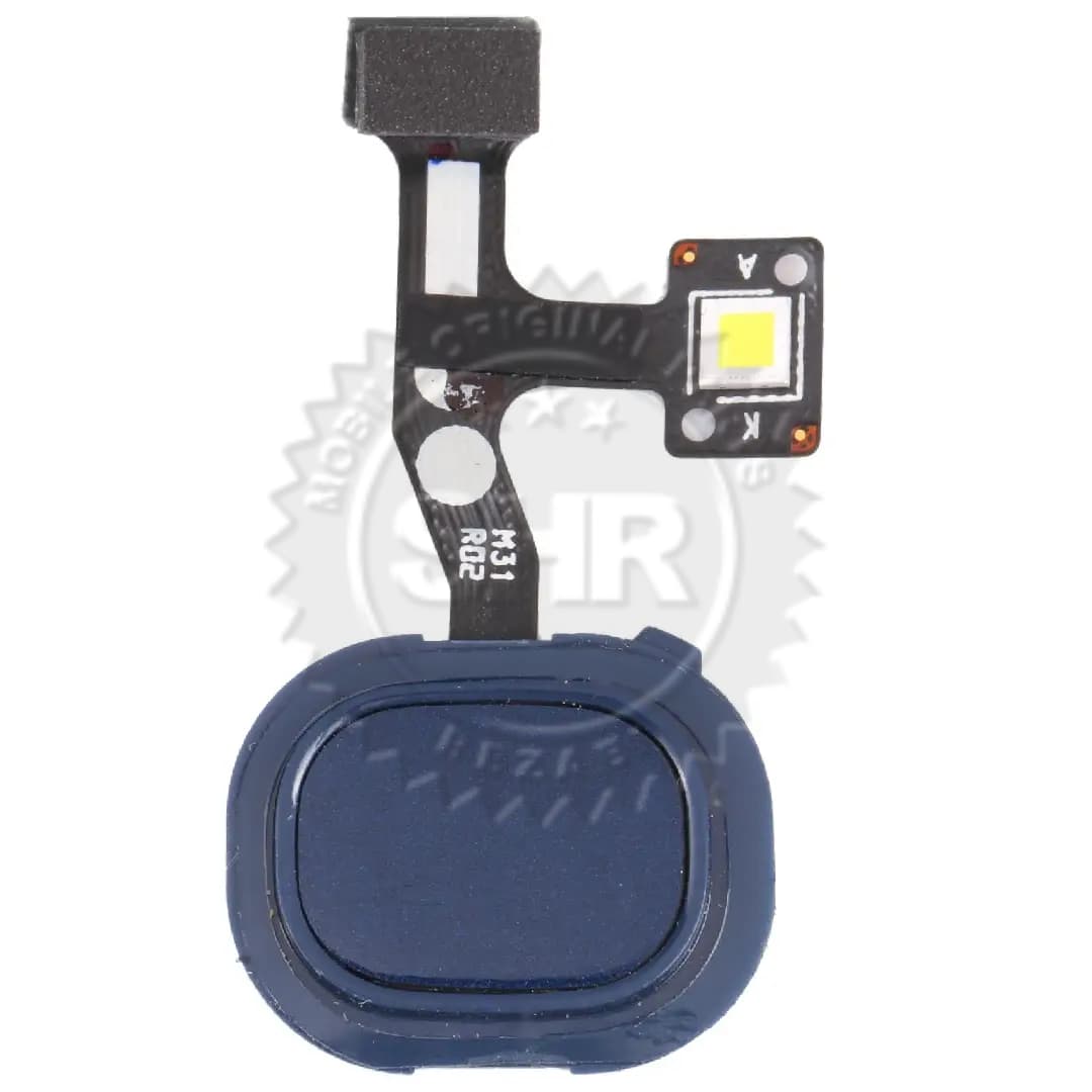 فلت فینگر و اثرانگشت سامسونگ M31 | M315 – آبی
