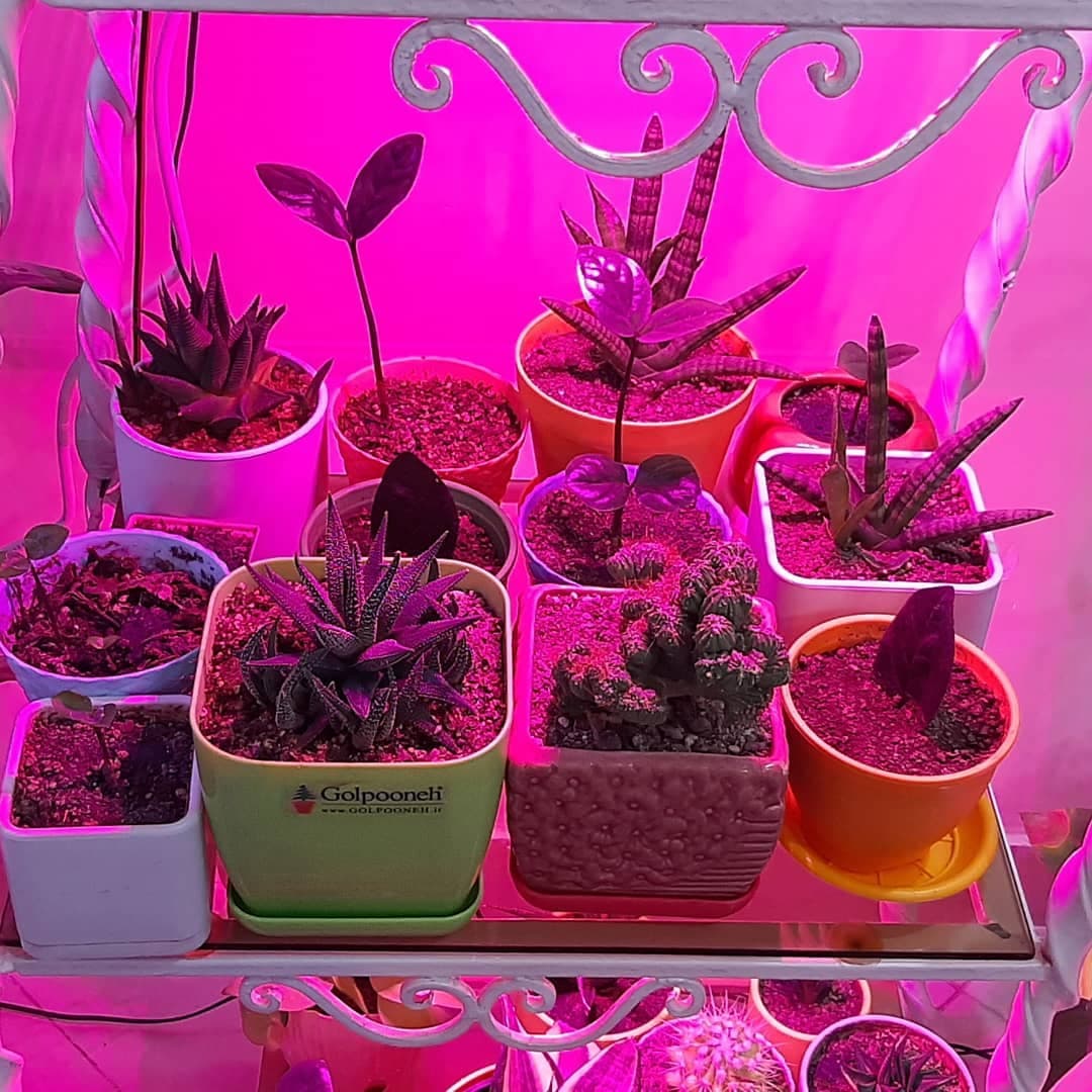 وال واشر LED رشد گیاه ۱۲ وات ~ ۳۶wl فول اسپکتروم — تصویر ۲