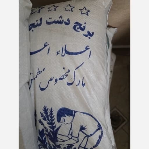 برنج دشت لنجان درجه یگ