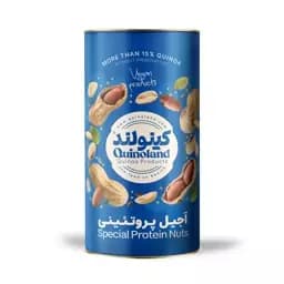 آجیل پروتینی کینوا قوطی 250 گرمی — تصویر ۲