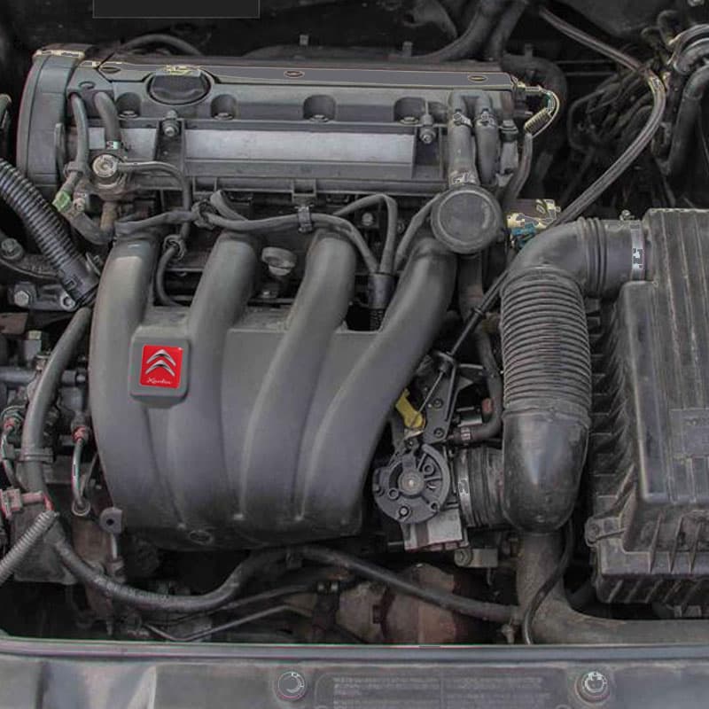 برچسب ژله ای زانتیا کد 8021 — تصویر ۲