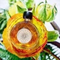 ادو تویلت زنانه GUERLAIN Terracotta Le Parfum حجم 100 میلی لیتر — تصویر ۵