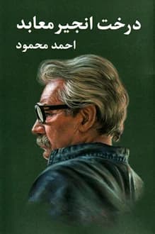 دانلود کتاب درخت انجیر معابد نوشته احمد محمود 1379