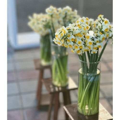سبد گل نرگس برای پذیرایی از مهمان‌ها 216