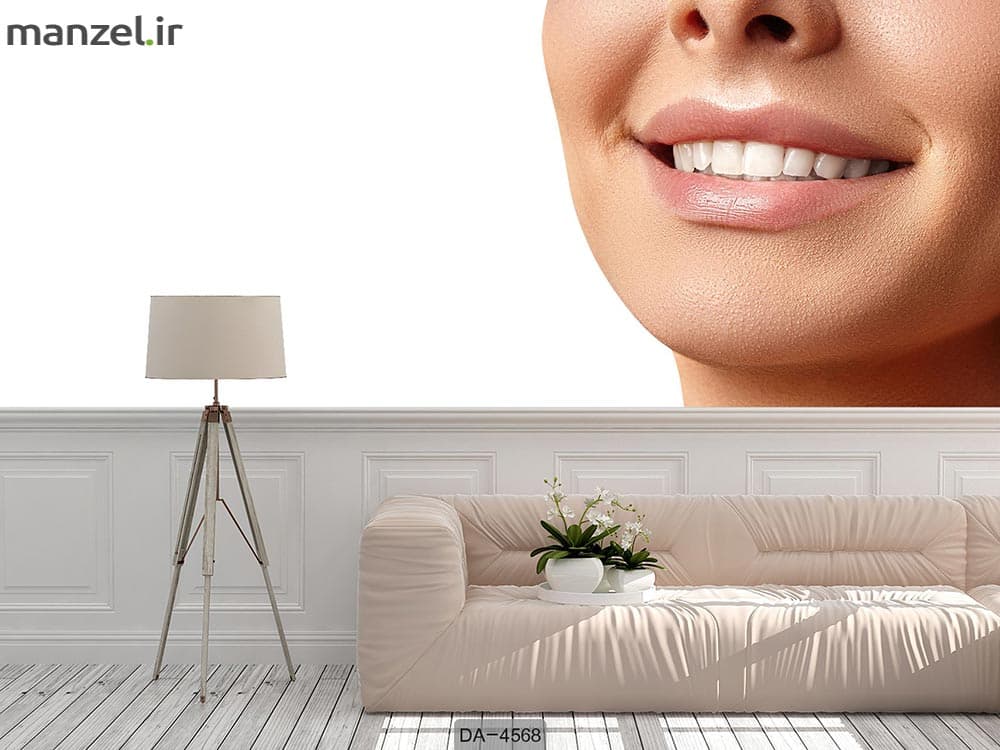 پوستر دیواری دندانپزشکی کد DA-4568