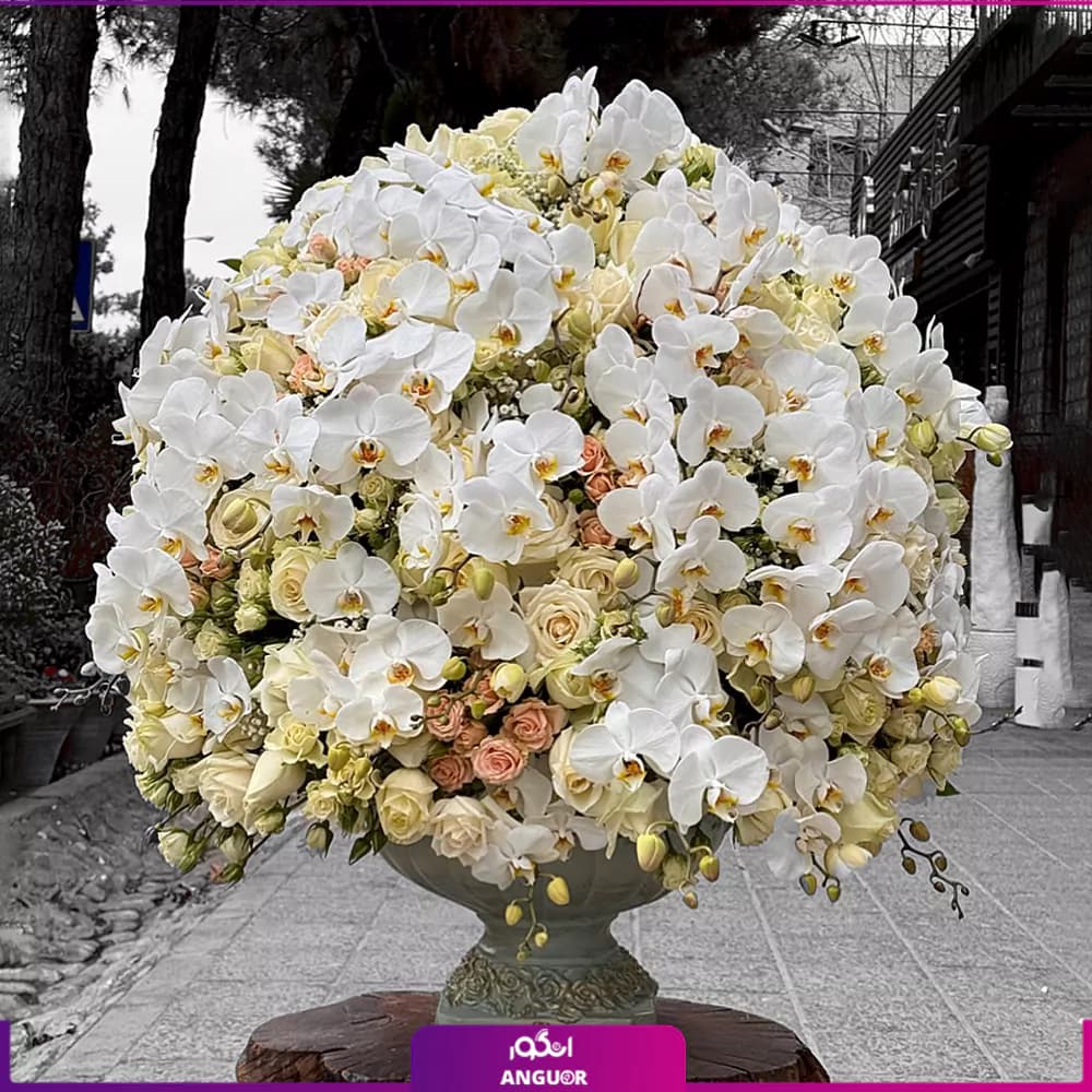 جام گل آغاز خوشبختی