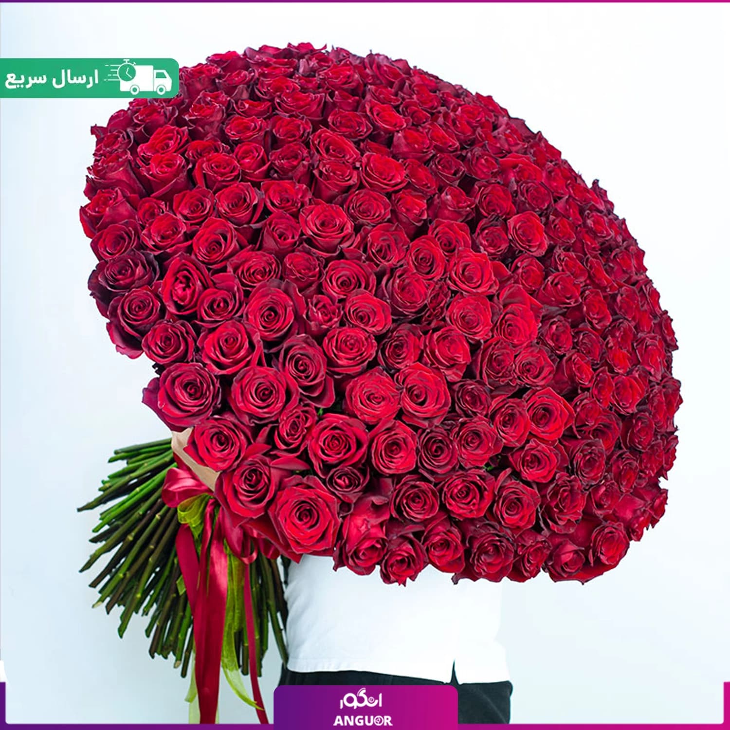 دسته گل بزرگ رز قرمز هلندی ممتاز – ۲۴۰ شاخه