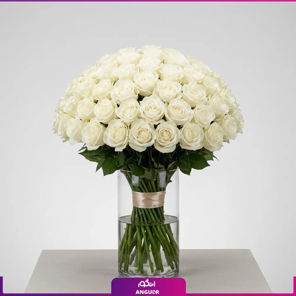 جار گل رز سفید (70شاخه)