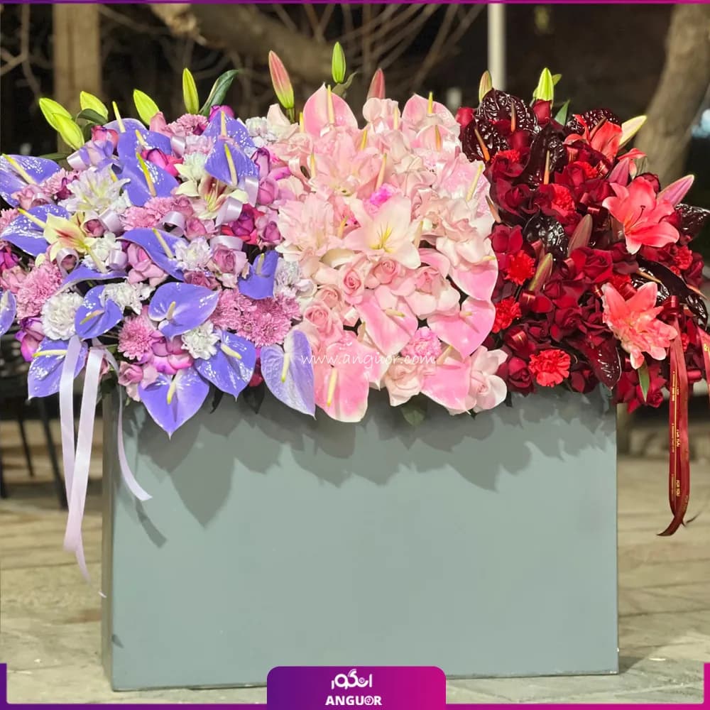 باکس گل رویال سه گانه