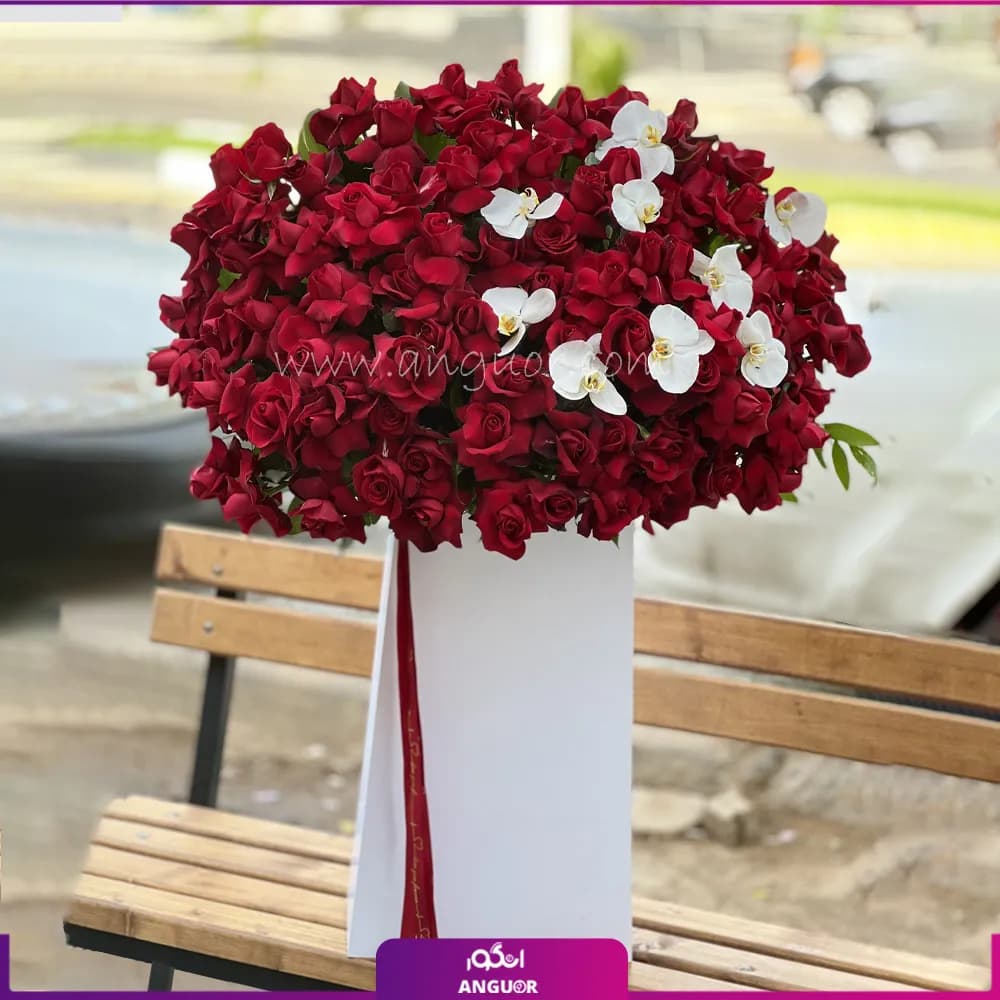باکس گل 80 شاخه رز قرمز با ارکیده سفید