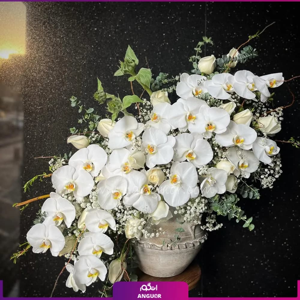 جام گل رز و ارکیده با تم سفید