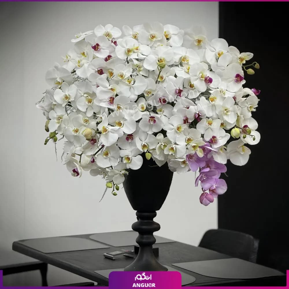 جام گل نجوای ارکیده