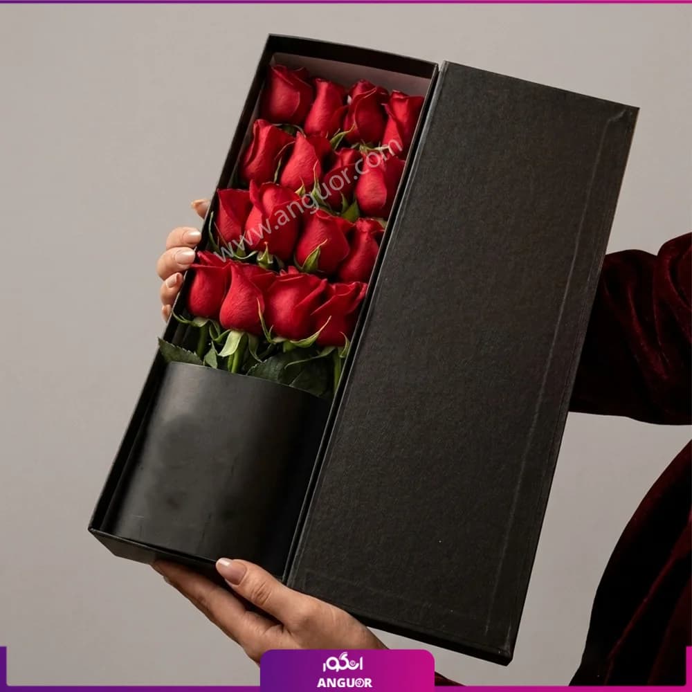 باکس گل رز پیچک