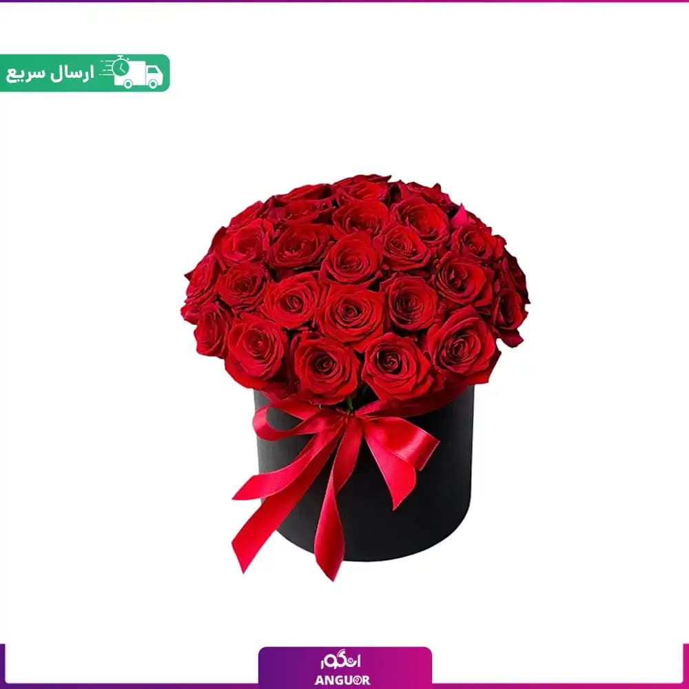 باکس 30 شاخه رز قرمز ممتاز (رز هلندی)