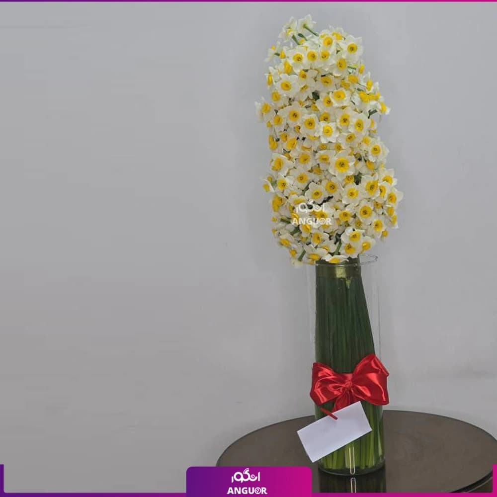 دسته گل نرگس 100 شاخه با گلدان — تصویر ۲