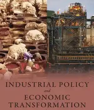 دانلود کتاب Industrial Policy and Economic Transformation in Africa – سیاست صنعتی و تحول اقتصادی در آفریقا