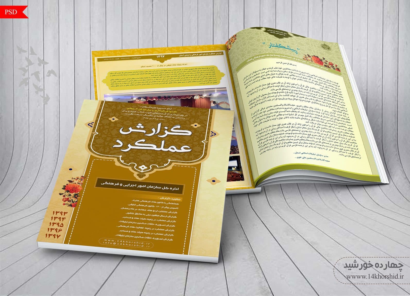 طرح لایه باز گزارش عملکرد ویژه psd — تصویر ۲