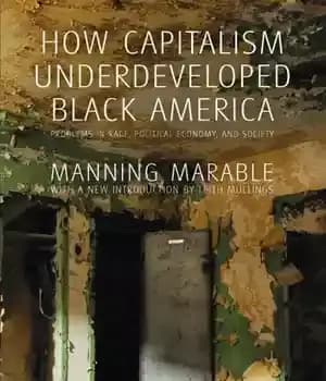 دانلود کتاب How capitalism underdeveloped Black America: problems in race, political economy, and society – چگونه سرمایه داری آمریکای سیاه…