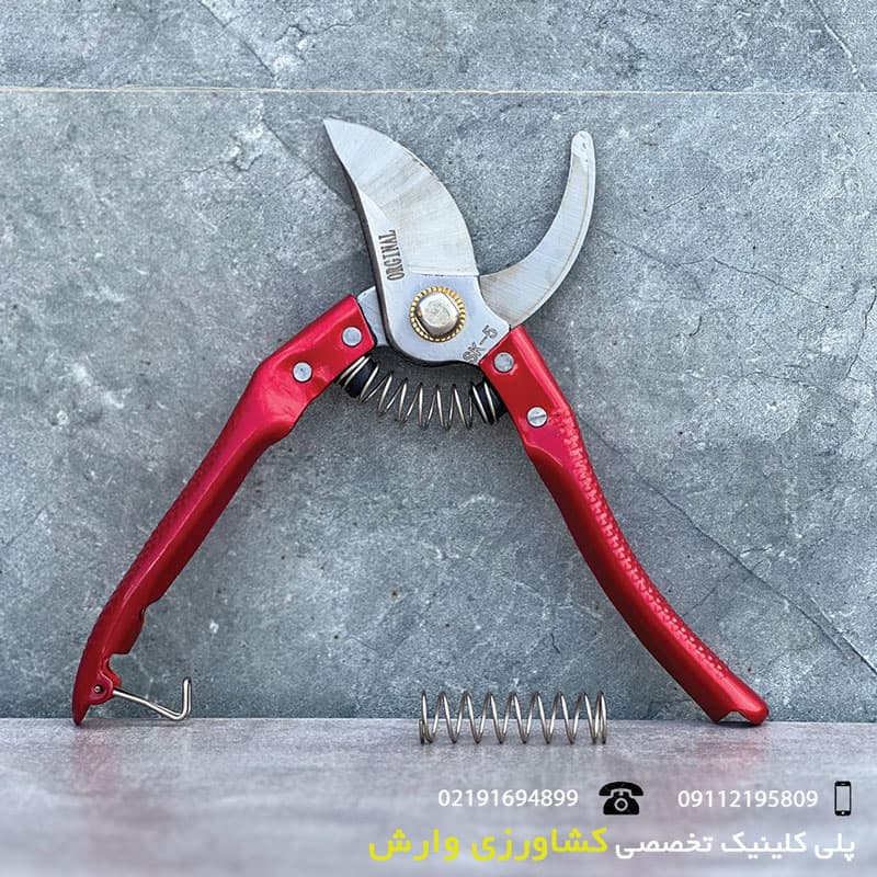 قیچی باغبانی ماکسیم(Maxim) — تصویر ۳