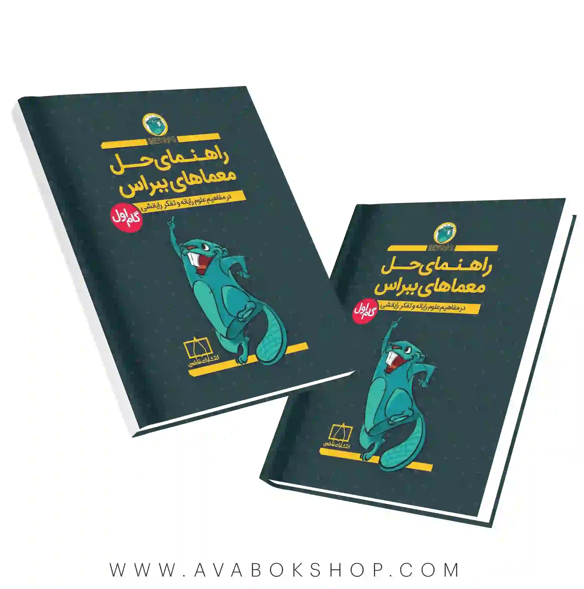 کتاب راهنمای حل معماهای ببراس گام اول فاطمی