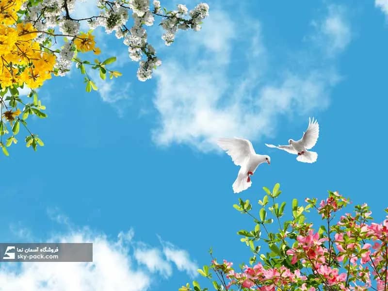 آسمان مجازی کبوترها در میان گلهای — تصویر ۲