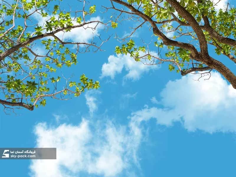 آسمان مجازی درختان بهاری