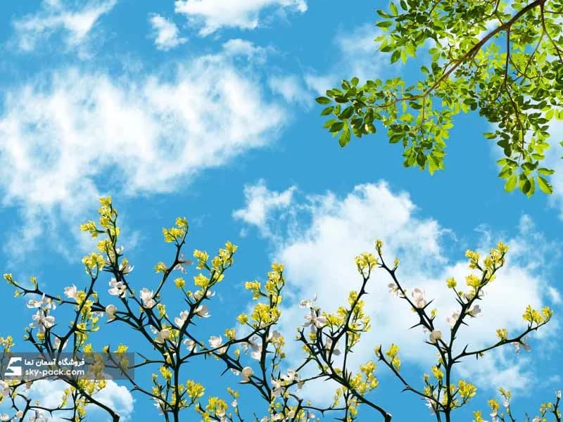 آسمان مجازی گلهای زرد و سفید — تصویر ۲